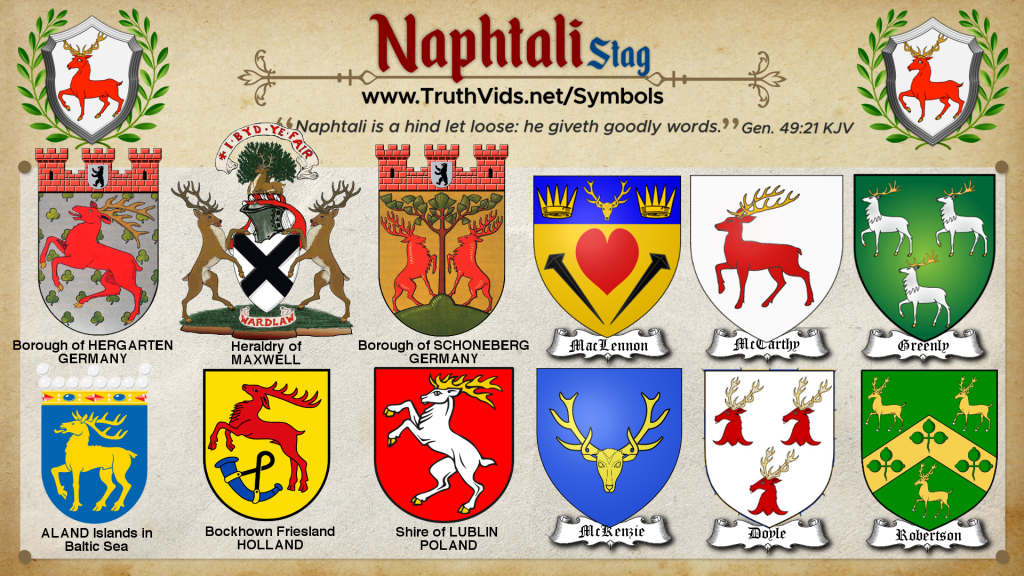 Heraldry of Naphtali a tribe of Israel the Stag Symbol