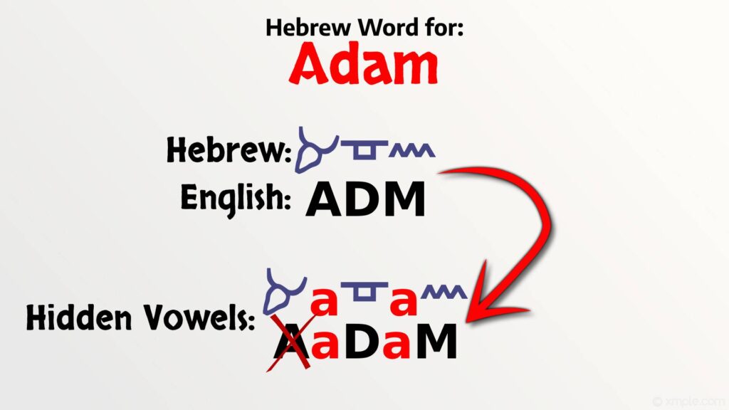 Hebrew Word Adam