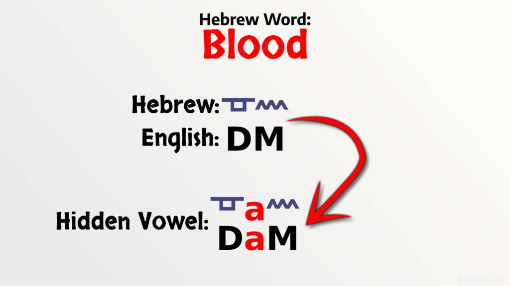 Hebrew Word Blood