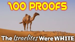 100 Proofs Thumbnail 13