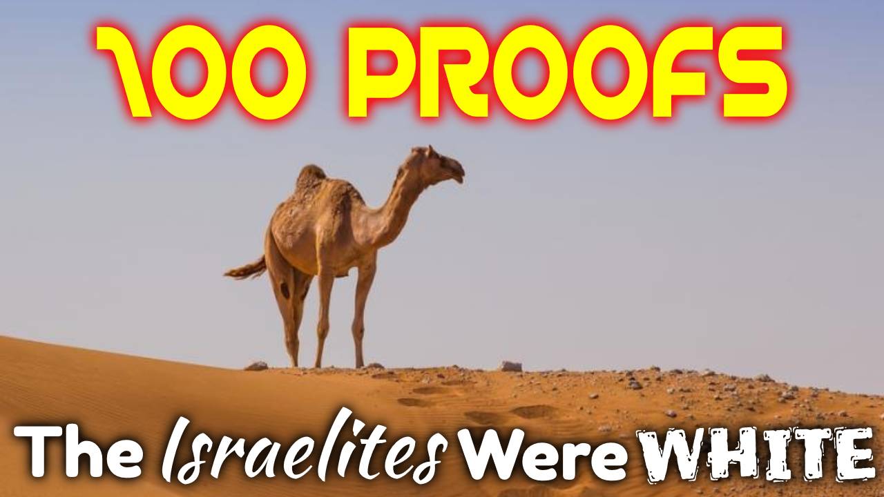 100 Proofs Thumbnail 13