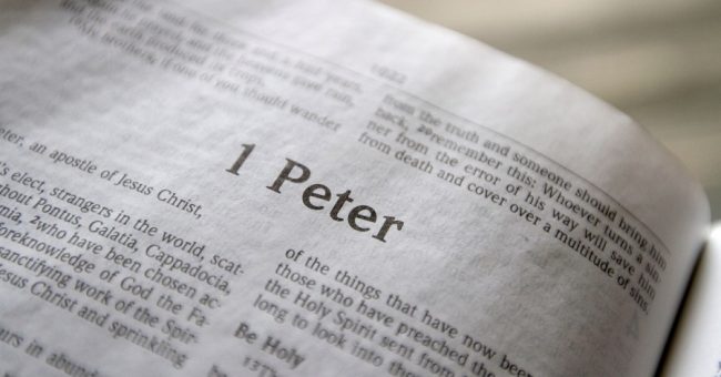 Proof 48) The Racial Message in Peter’s Epistles